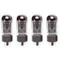 GROUPING_QUAD_TK-6V6