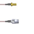 Q-2V0200005036I