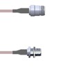 Q-24025000H009i