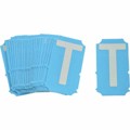 6001-T