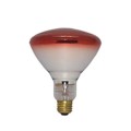 WW-4VX4-1