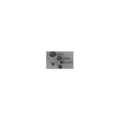 ICL1220002-01